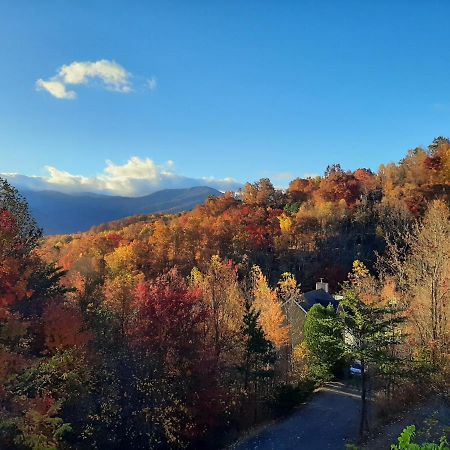 3 Decks, Mtn Views! Tree Tops By Honeybearcabins - Luxury Rain Showers, 3 King Suites, Xl Hottub, Fireplace, Bear Sightings ガトリンバーグ エクステリア 写真