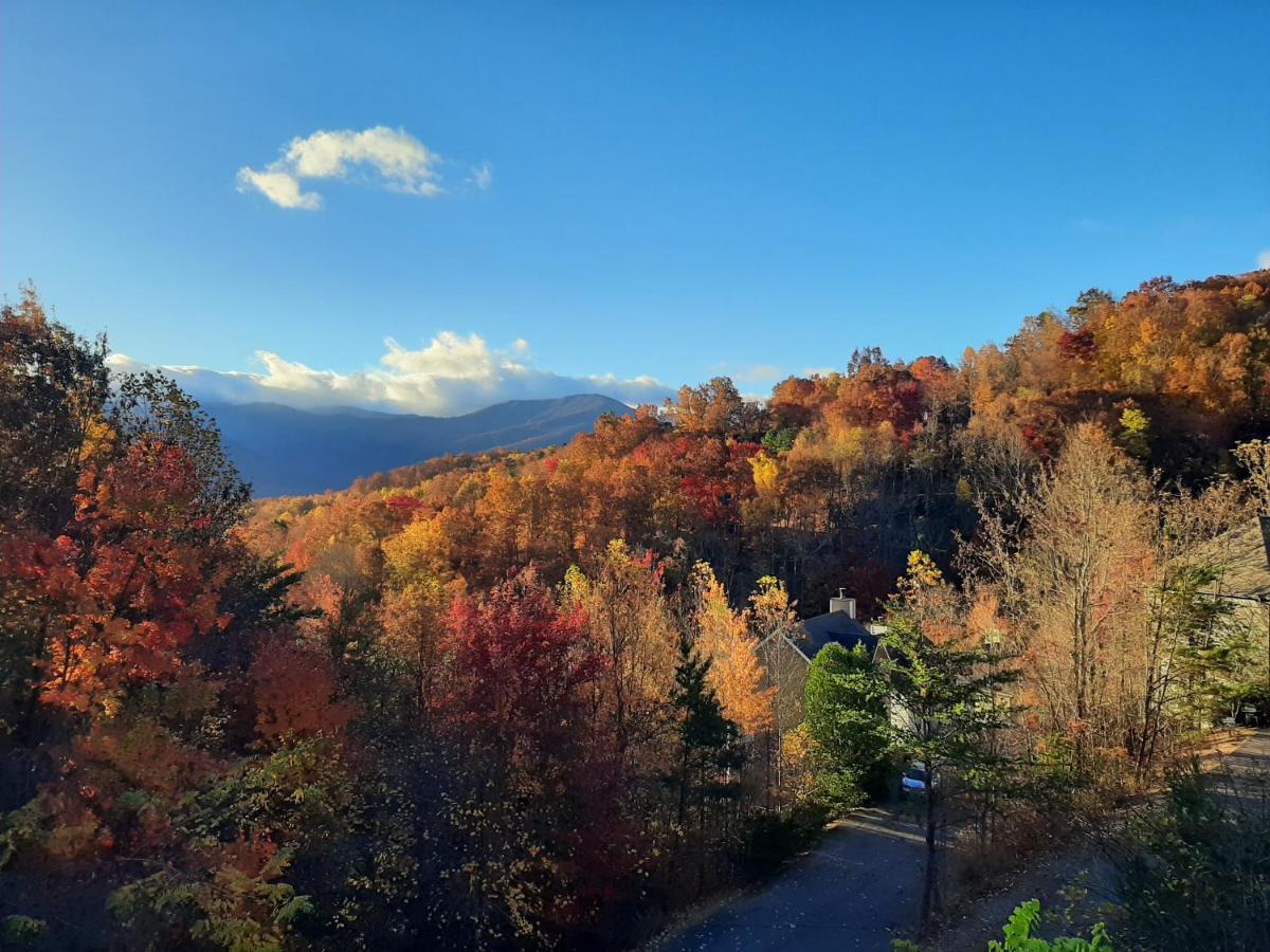 3 Decks, Mtn Views! Tree Tops By Honeybearcabins - Luxury Rain Showers, 3 King Suites, Xl Hottub, Fireplace, Bear Sightings ガトリンバーグ エクステリア 写真